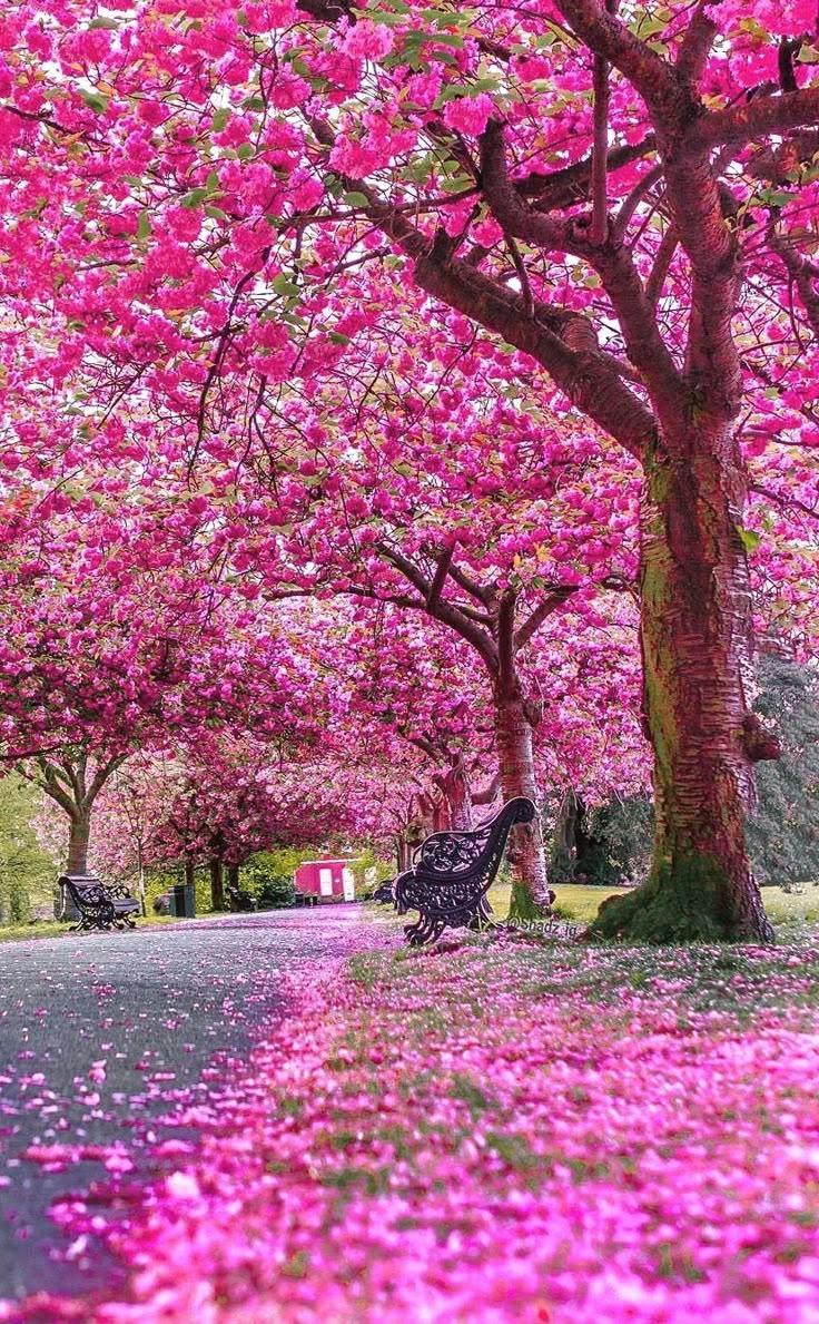 Professional floral arrangement in modern corporate setting